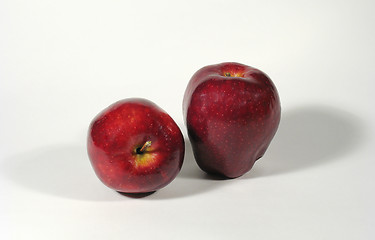 Image showing Couple of red apples