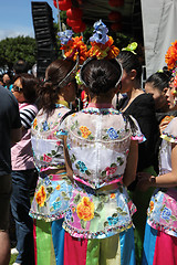 Image showing Embroidered costumes