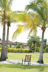 Image showing Chair in the middle of a relaxing place