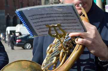 Image showing Musician