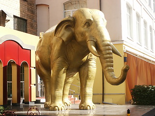 Image showing gold elephant