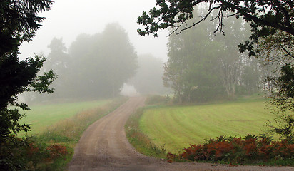 Image showing Foggy road