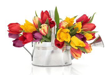 Image showing Tulip Flower Beauty