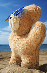 Image showing Beach Teddy