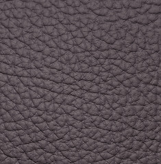 Image showing piece of black leather 2