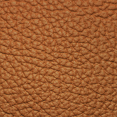 Image showing piece of brown leather 2