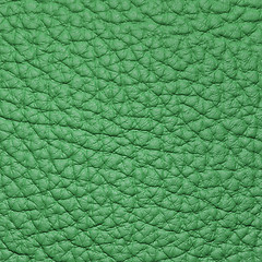 Image showing piece of green leather 2