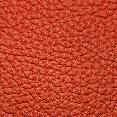 Image showing piece of red leather 2