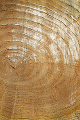 Image showing wooden texture