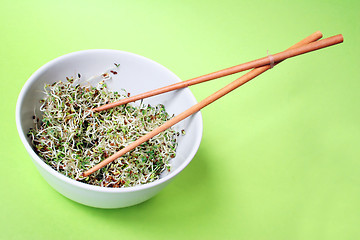 Image showing Sprouts on green