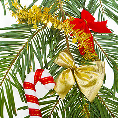 Image showing Christmas branch 