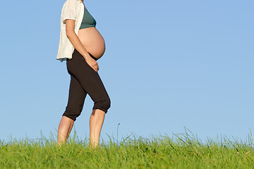 Image showing pregnant woman on meadow