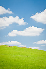 Image showing agriculture landscape