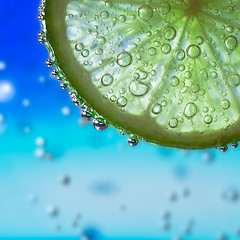 Image showing lime in the water