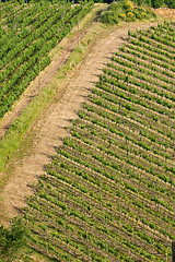 Image showing Typical Tuscan landscape