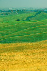 Image showing Typical Tuscan landscape