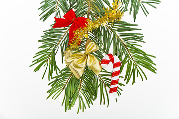 Image showing Christmas branch 