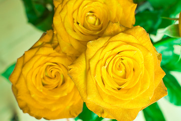 Image showing rose bouquet