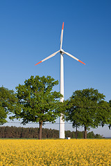 Image showing windmill  farm in the rape field