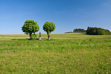 Image showing cross in the field