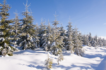 Image showing fresh snow in the mountains