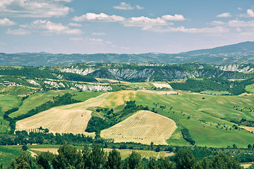 Image showing Typical Tuscan landscape