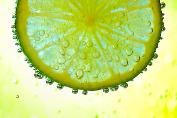 Image showing lime in the water