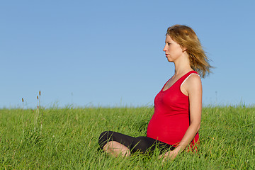 Image showing pregnant woman on meadow