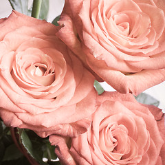 Image showing rose bouquet