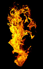 Image showing Fire photo on a black background 