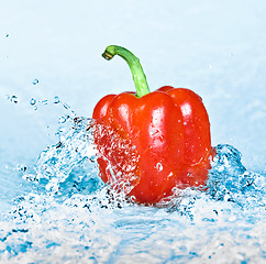 Image showing Pepper and water