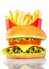 Image showing Tasty hamburger and french fries