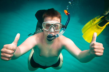 Image showing Snorkeler