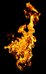 Image showing Fire photo on a black background 