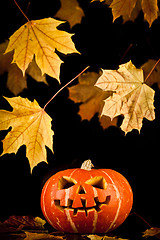 Image showing halloween, old jack-o-lantern on black