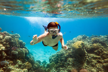 Image showing Snorkeler. Red sea