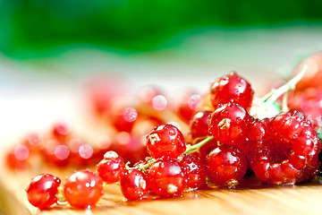 Image showing currants