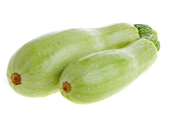 Image showing squash,  marrow