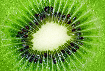 Image showing kiwi