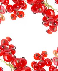 Image showing fresh currant