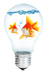 Image showing Gold small fish in light bulb