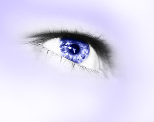Image showing human eye