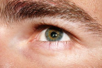 Image showing brown eye