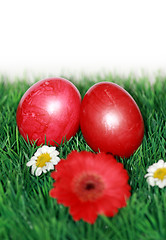 Image showing Easter tradition