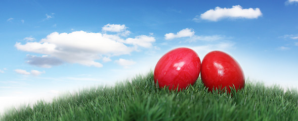 Image showing Two eggs on a green hill