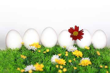 Image showing White eggs with flowers