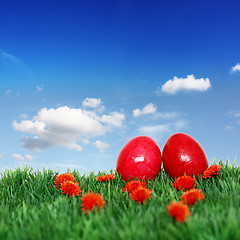 Image showing Two beautiful Easter eggs