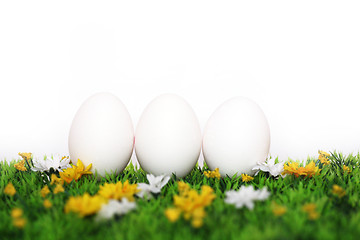 Image showing Three white eggs