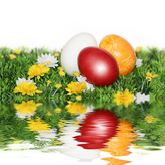 Image showing Colorfully painted eggs