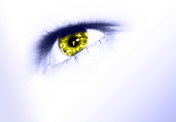Image showing designed eye